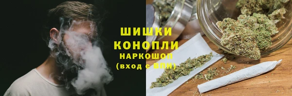 шишки Алексеевка