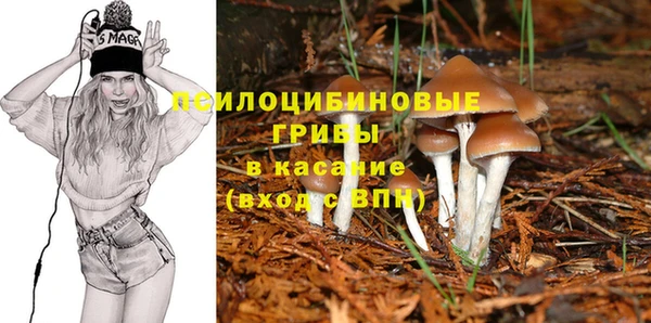 шишки Алексеевка