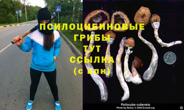 шишки Алексеевка