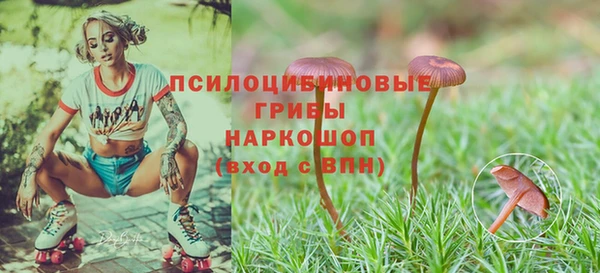 шишки Алексеевка
