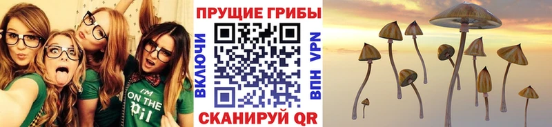 Псилоцибиновые грибы прущие грибы  даркнет сайт  blacksprut вход  Комсомольск 